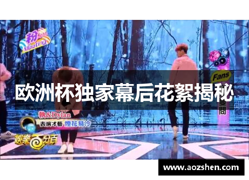 欧洲杯独家幕后花絮揭秘