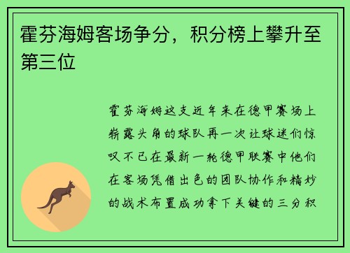 霍芬海姆客场争分，积分榜上攀升至第三位